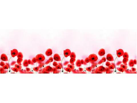 Кухонный фартук Маки 3,0 м.