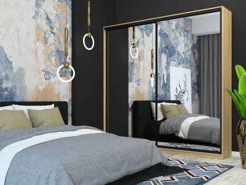 Шкаф-купе Лофт Шк24-60 2400 глубина 600 фасад зеркало