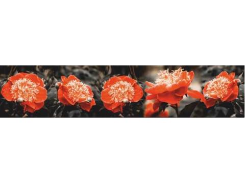 Фартук с фотопечатью Цветы SP114