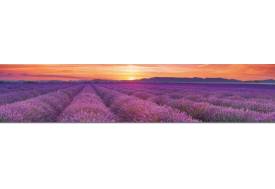 Фартук с фотопечатью Лавандовые поля SP157